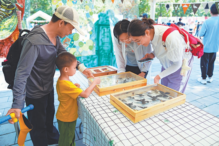 夏夜中寻踪流萤青蛙 公园科普夏令