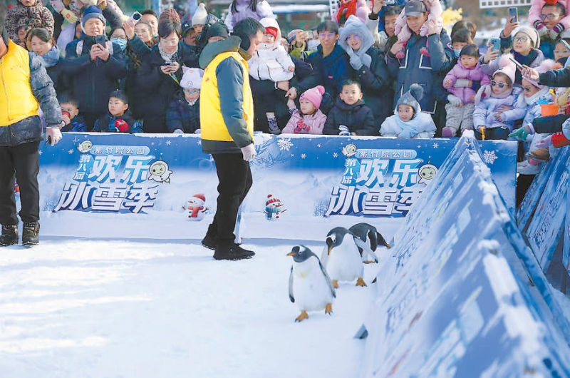 登高迎新 畅玩冰雪 北京市属公园