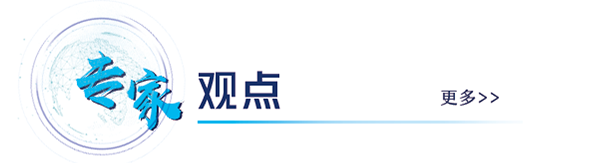 专家观点
