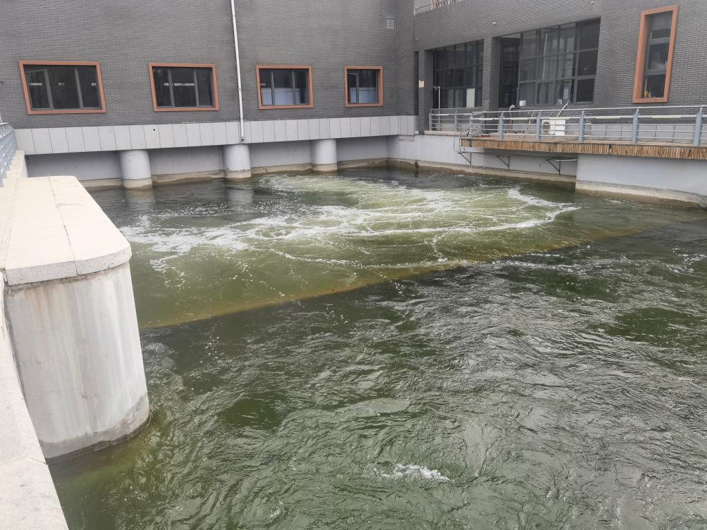 北京密雲水庫調蓄工程反向供水開啟運作